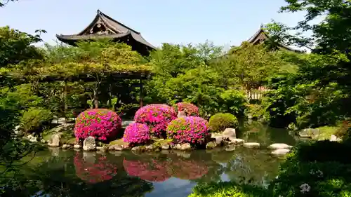 東寺（教王護国寺）の庭園