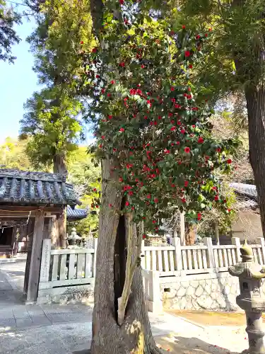 由加神社（和気由加神社）の自然