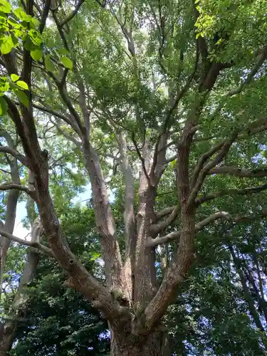 弘道館鹿島神社の自然