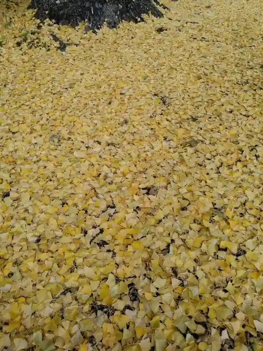 慈徳院(愛知県)