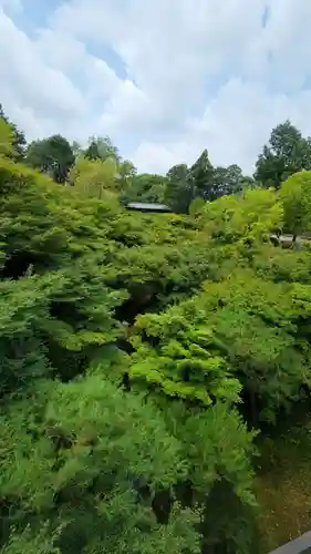 東福禅寺（東福寺）の庭園