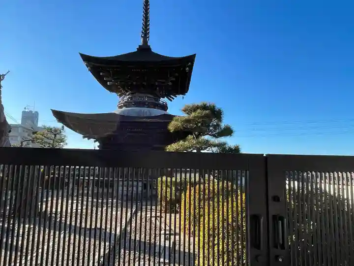 大樹寺(松安院大樹寺)(愛知県)