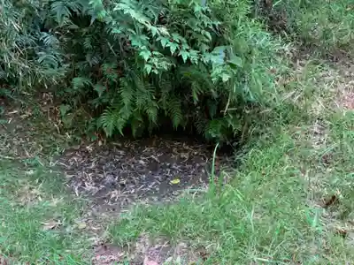 白山神社の自然