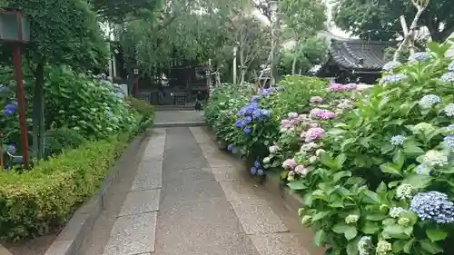 白山神社の庭園