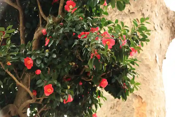 三島八幡神社の自然