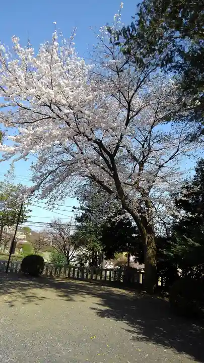 上川原日枝神社の自然