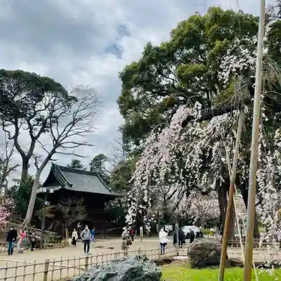 弘法寺のその他建物