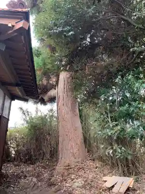 水神宮(千葉県)