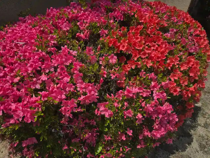 華蔵院(奈良県)