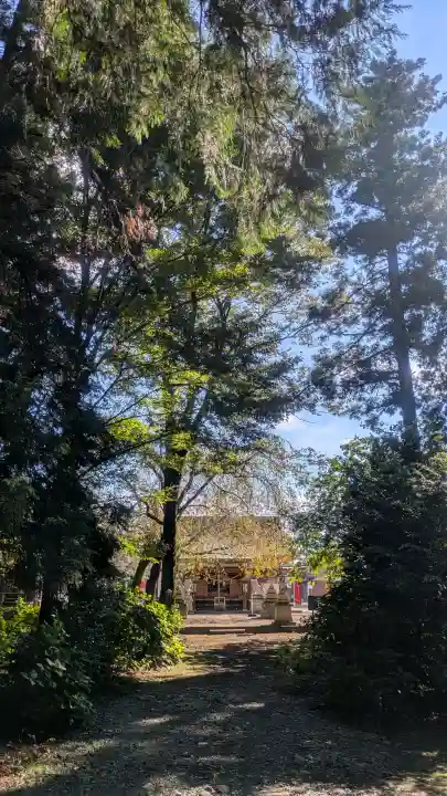 結城諏訪神社の{uncategorized: "未分類", other: "その他", undefined: "問題あり", building: "その他建物", grave: "お墓", sacred_gate: "鳥居", guardian: "狛犬", statue: "像", buddha: "仏像", history: "歴史", nature: "自然", garden: "庭園", animal: "動物", pagoda: "塔", temizu: "手水舎", mountain_gate: "山門・神門", sanctuary: "本殿・本堂", subordinate: "末社・摂社", art: "芸術", scenery: "景色", jizo: "地蔵", ema: "絵馬", goshuin: "御朱印", omikuji: "おみくじ", items: "授与品その他", amulet: "お守り", goshuincho: "御朱印帳", eats: "食事", festival: "お祭り", votive_dance: "神楽", shichigosan: "七五三参", wedding: "結婚式", experience: "体験その他", initially: "初詣", around: "周辺", anti_infection: "感染症対策"}