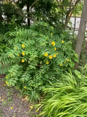 寳積院（宝積院）の自然