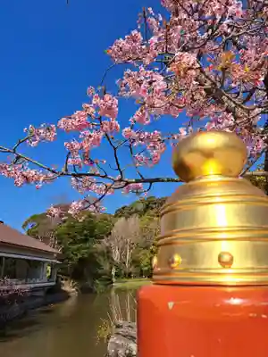 鶴岡八幡宮(神奈川県)
