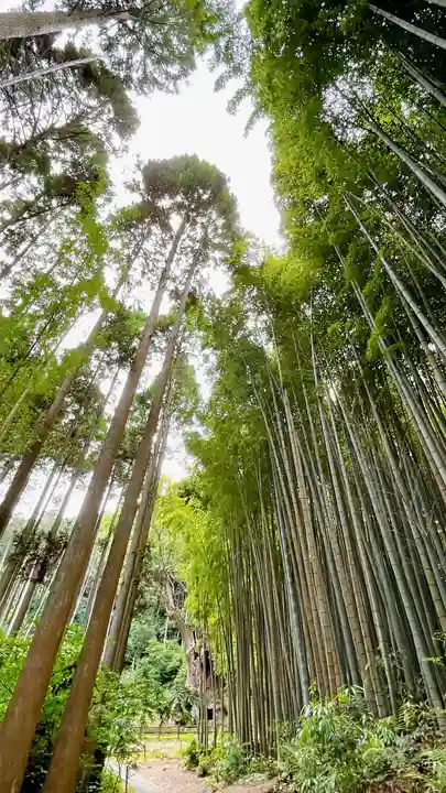 武雄神社(佐賀県)