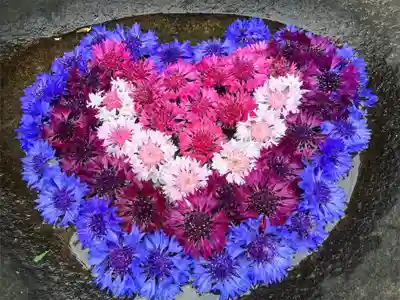 真言宗　善通寺派　薬王寺(香川県)