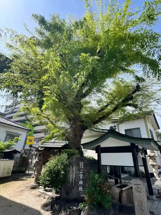二宮神社の{uncategorized: "未分類", other: "その他", undefined: "問題あり", building: "その他建物", grave: "お墓", sacred_gate: "鳥居", guardian: "狛犬", statue: "像", buddha: "仏像", history: "歴史", nature: "自然", garden: "庭園", animal: "動物", pagoda: "塔", temizu: "手水舎", mountain_gate: "山門・神門", sanctuary: "本殿・本堂", subordinate: "末社・摂社", art: "芸術", scenery: "景色", jizo: "地蔵", ema: "絵馬", goshuin: "御朱印", omikuji: "おみくじ", items: "授与品その他", amulet: "お守り", goshuincho: "御朱印帳", eats: "食事", festival: "お祭り", votive_dance: "神楽", shichigosan: "七五三参", wedding: "結婚式", experience: "体験その他", initially: "初詣", around: "周辺", anti_infection: "感染症対策"}