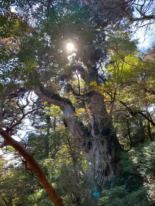 木魂神社(鹿児島県)