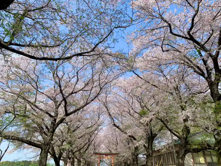 東蕗田天満社の自然