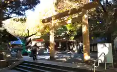 乃木神社の鳥居