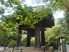 報国寺(神奈川県)