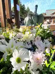 白鷺神社(栃木県)