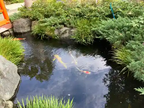 蛇窪神社(東京都)