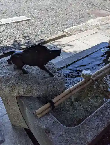 摩利支天堂 禅居庵(京都府)