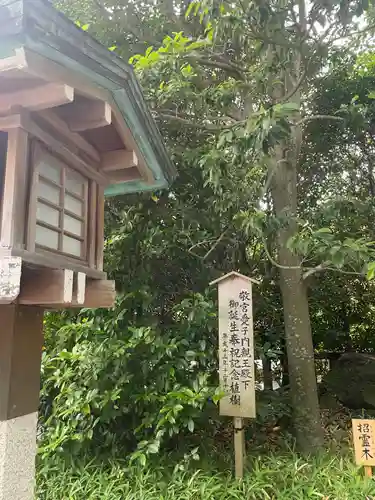 寒川神社(神奈川県)