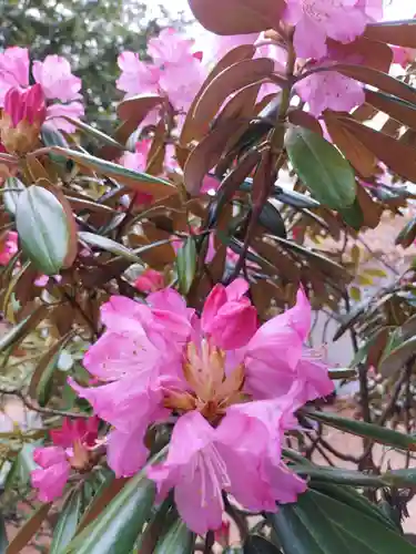 大谷地神社の自然