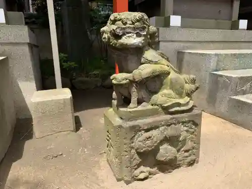 千葉神社の狛犬