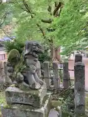 石部神社の狛犬