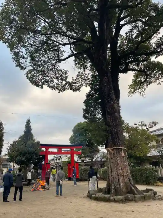 須左男神社(兵庫県)