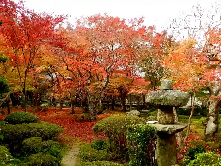 圓光寺(京都府)