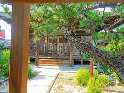 蒼龍寺の本殿・本堂