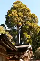 河内白王神社(高知県)