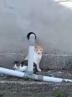 五郎兵衛稲荷神社(茨城県)