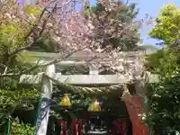 八雲神社(鎌倉・大町)の鳥居