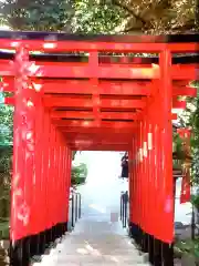 乃木神社(東京都)