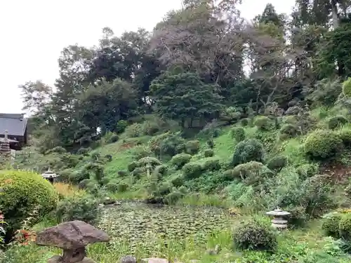 真如寺の庭園