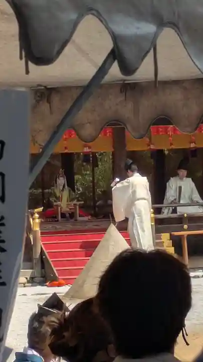 賀茂別雷神社(上賀茂神社)(京都府)