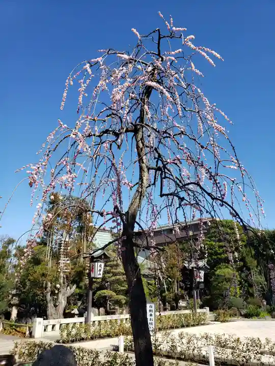 常性寺(東京都)