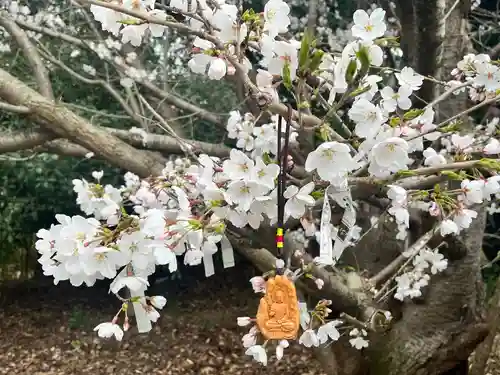 聖神社(大阪府)
