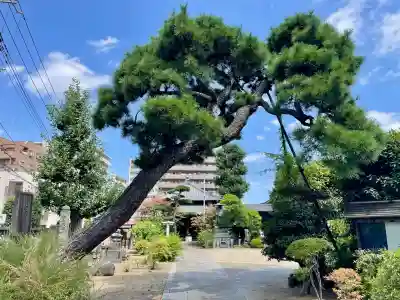 吉祥寺(千葉県)