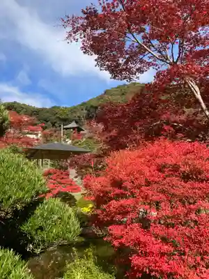 三室戸寺(京都府)