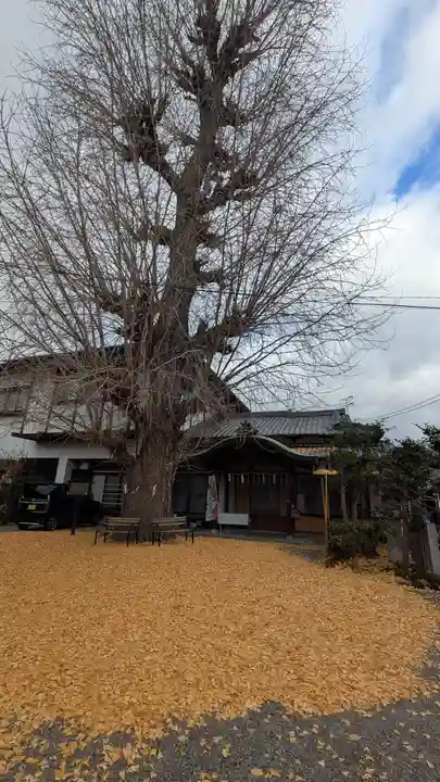 和田神社(滋賀県)