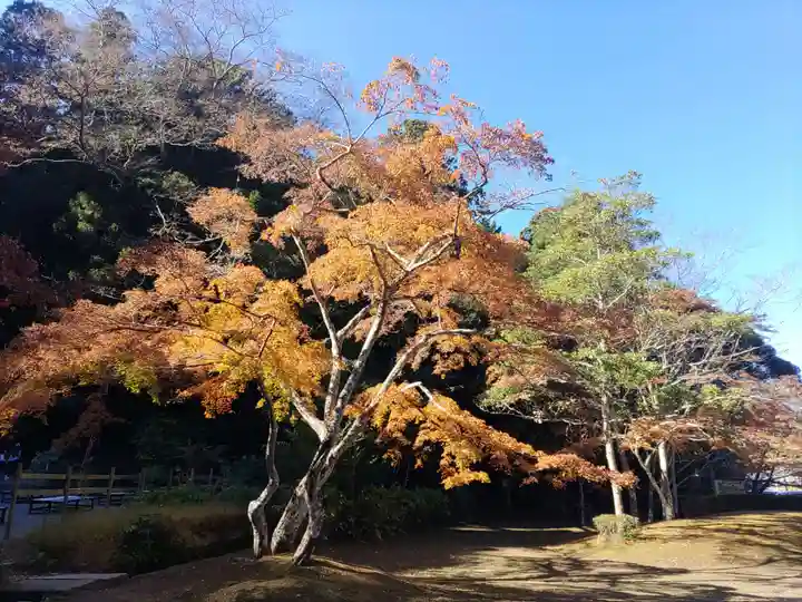 鹿島神宮(茨城県)