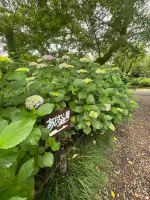 矢田寺(奈良県)