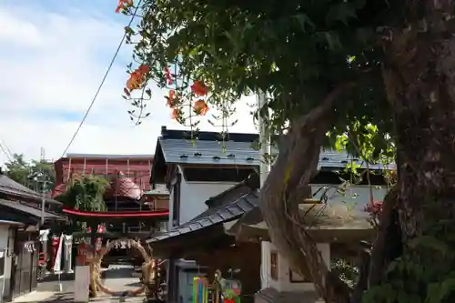 大鏑神社の鳥居