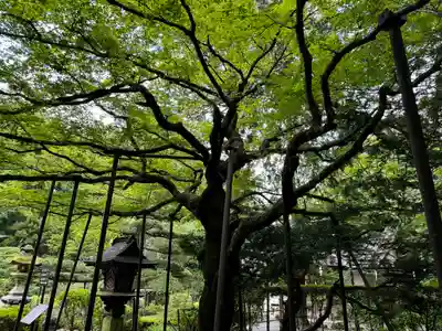 北口本宮冨士浅間神社(山梨県)