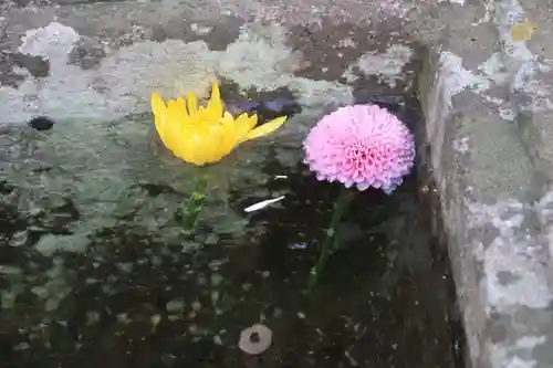 八幡神社の手水舎