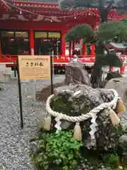 金櫻神社(山梨県)